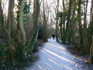 Alongside Coate Water